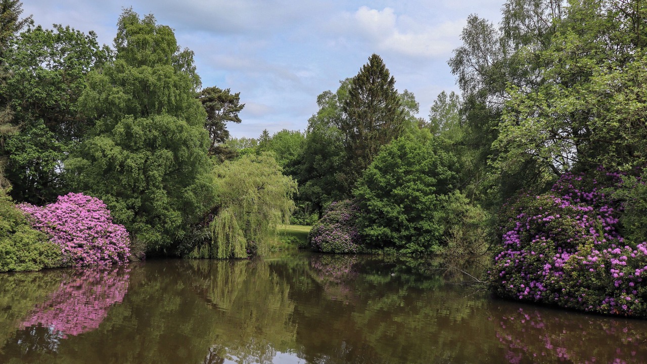 Photo of Others in Macclesfield