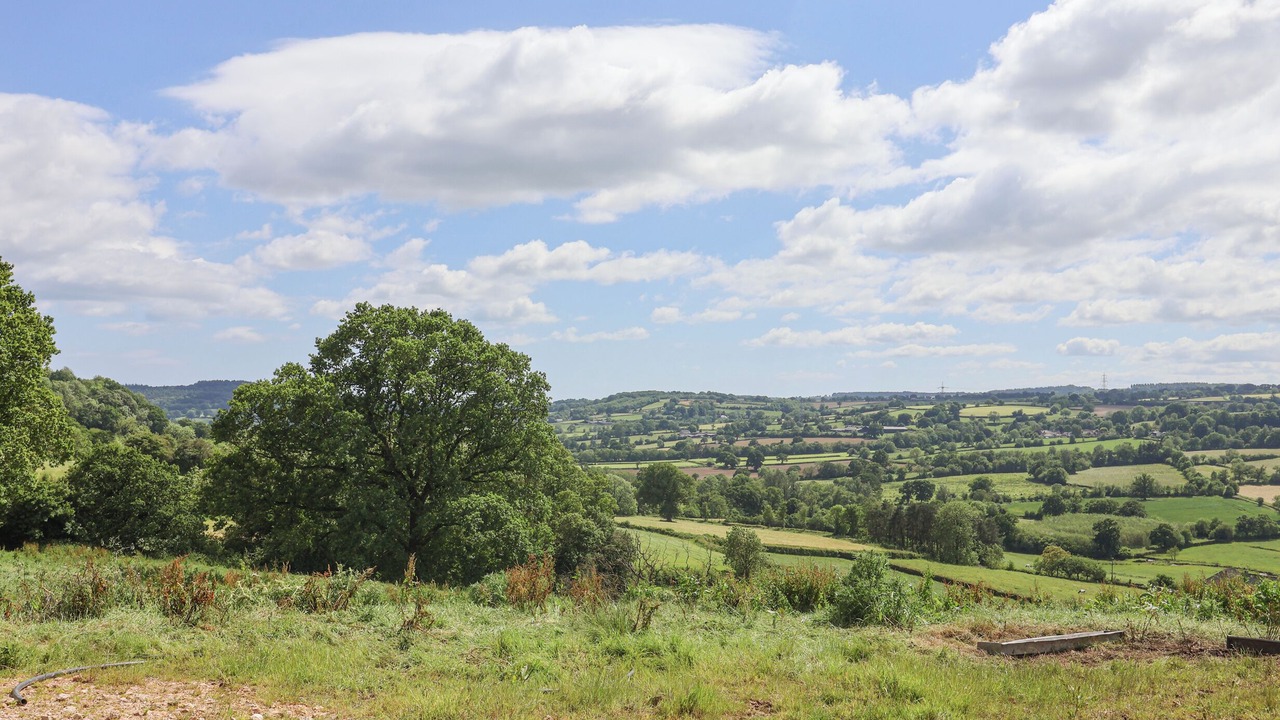 Photo of Others in Honiton