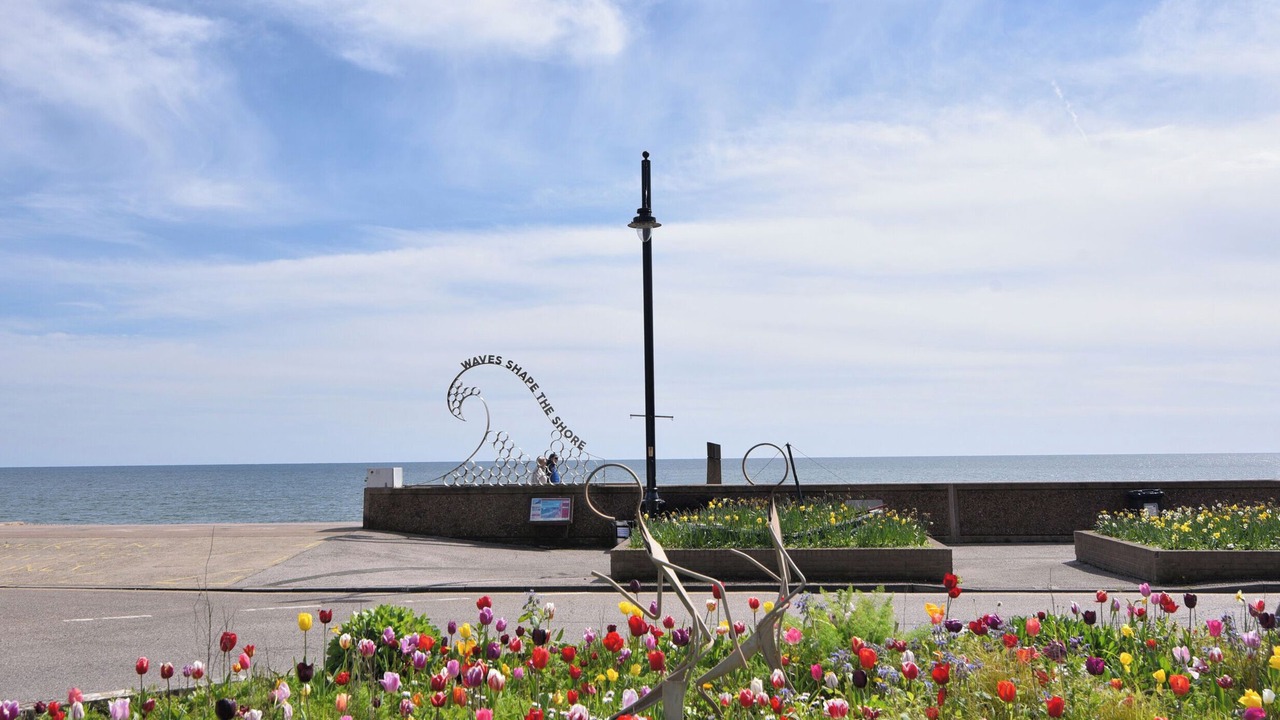 Photo of Others in Honiton