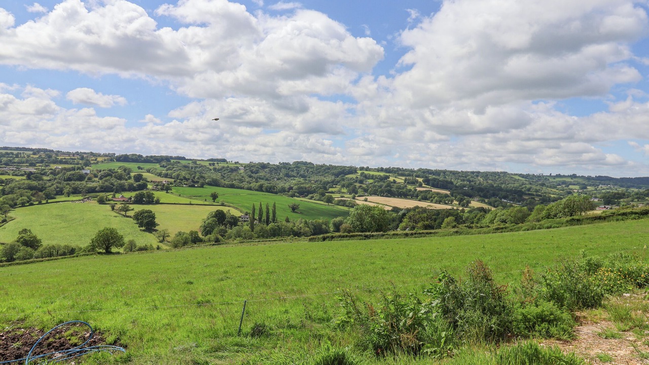 Photo of Others in Honiton