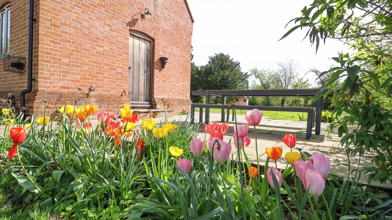 Photo of Outdoor in Harleston