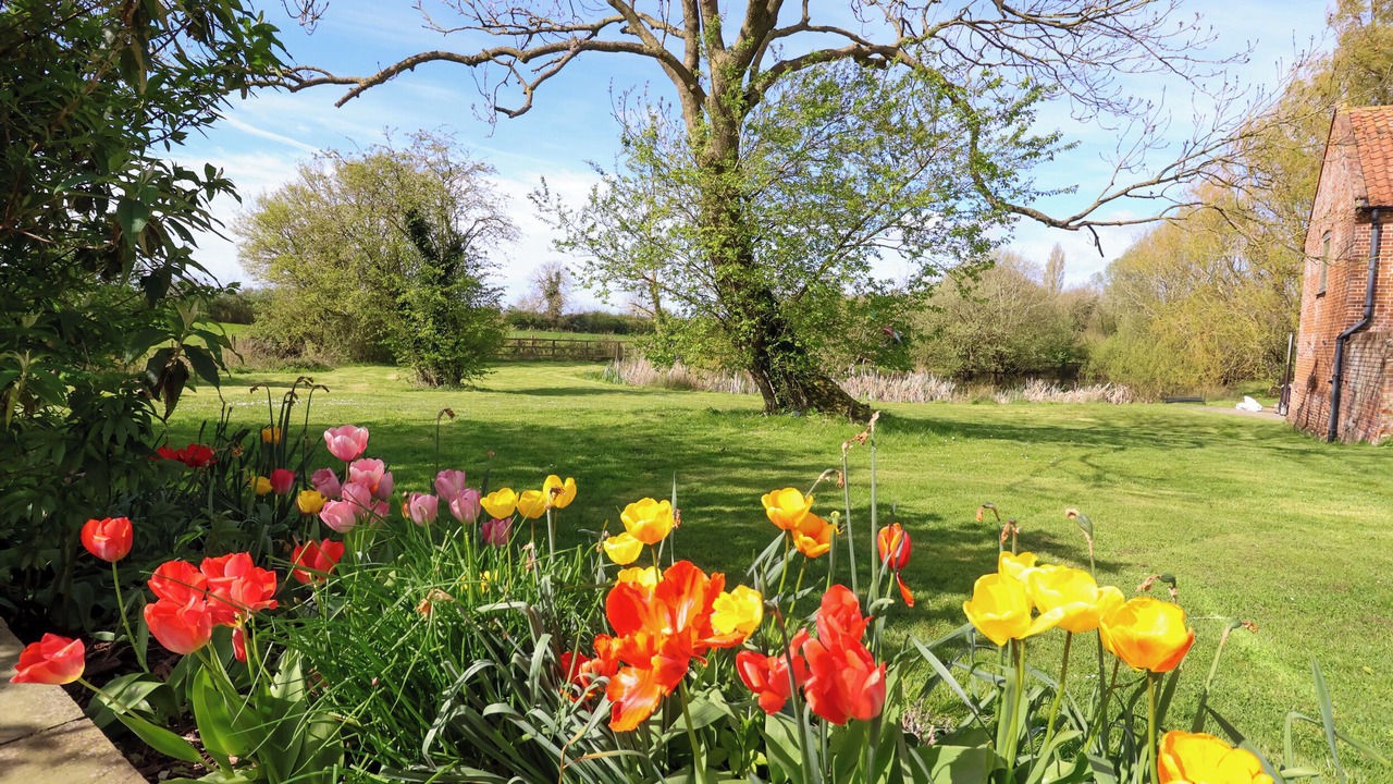 Photo of Outdoor in Harleston