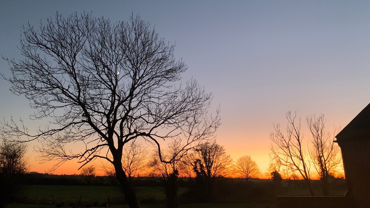 Photo of Others in Harleston