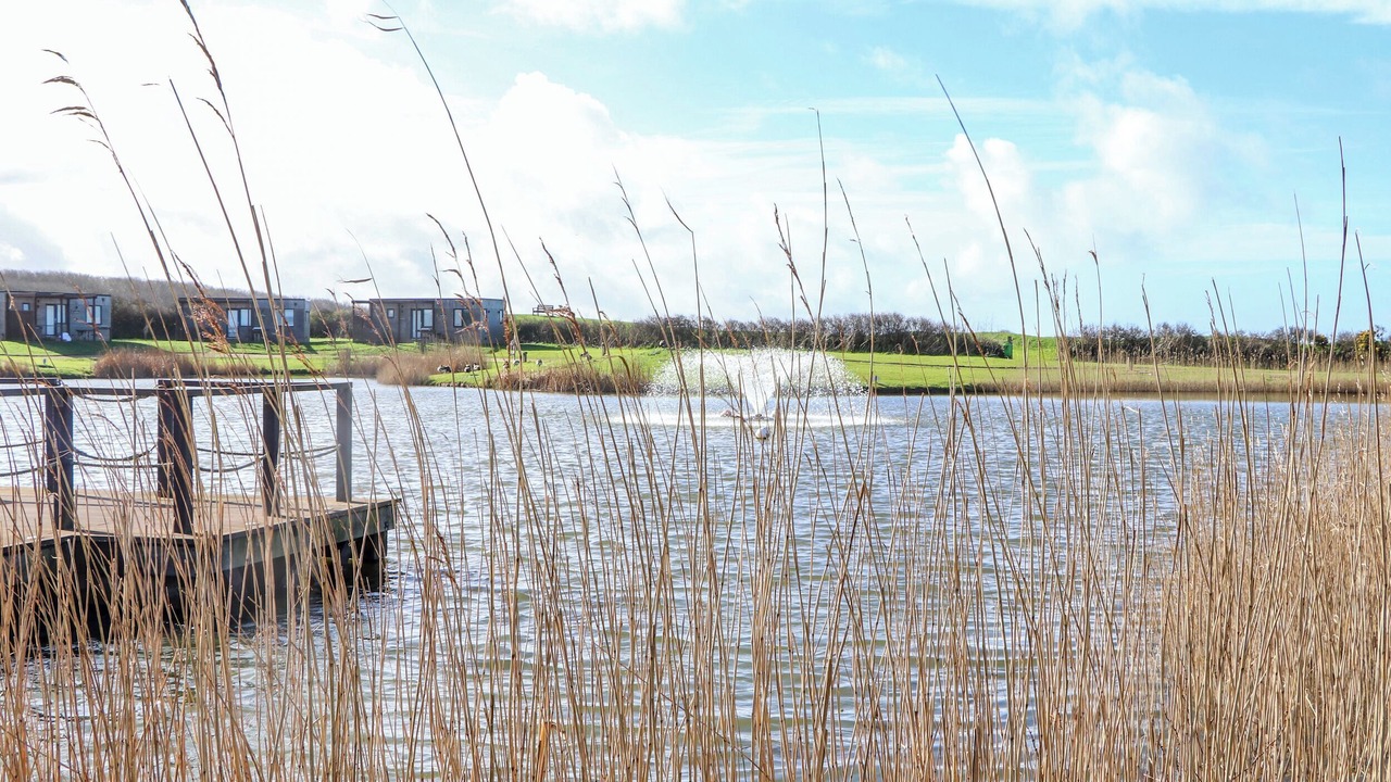 Photo of Others in Portreath