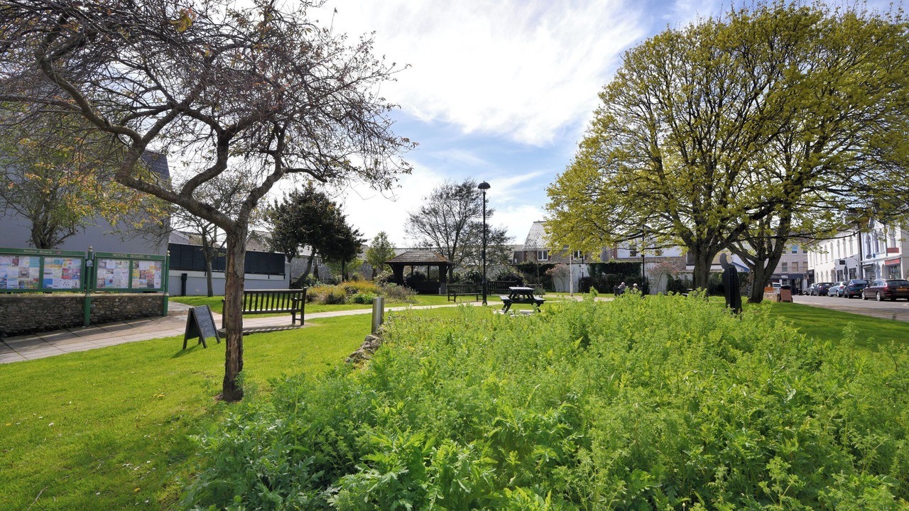 Photo of Outdoor in Seaton