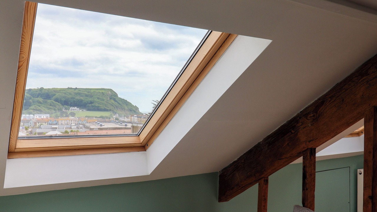 Photo of Others in Seaton