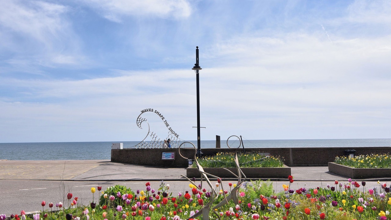 Photo of Others in Seaton