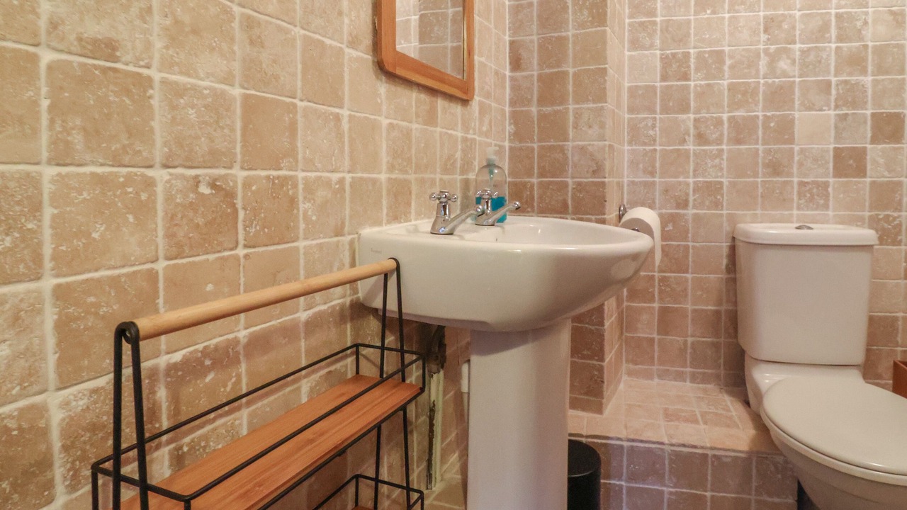 Photo of Others in Honiton