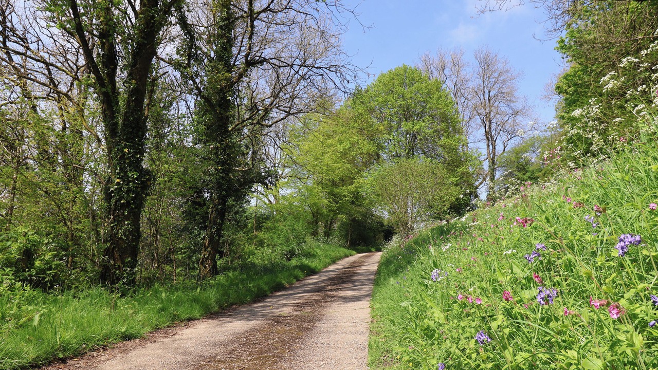 Photo of Others in Honiton