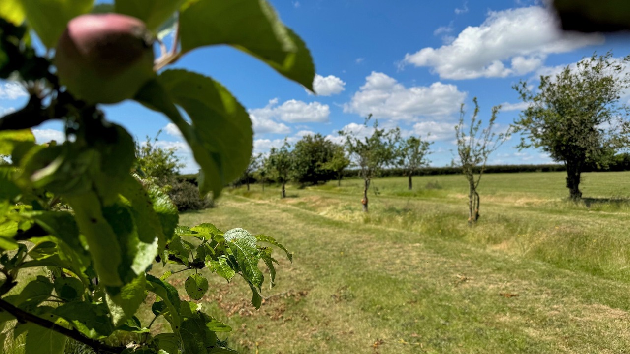 Photo of Others in Saint Osyth