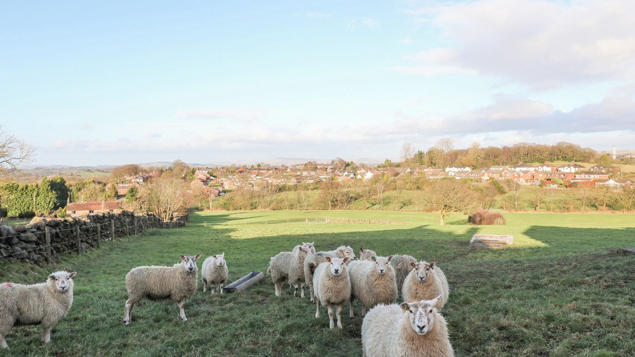 Photo of Others in Forsbrook