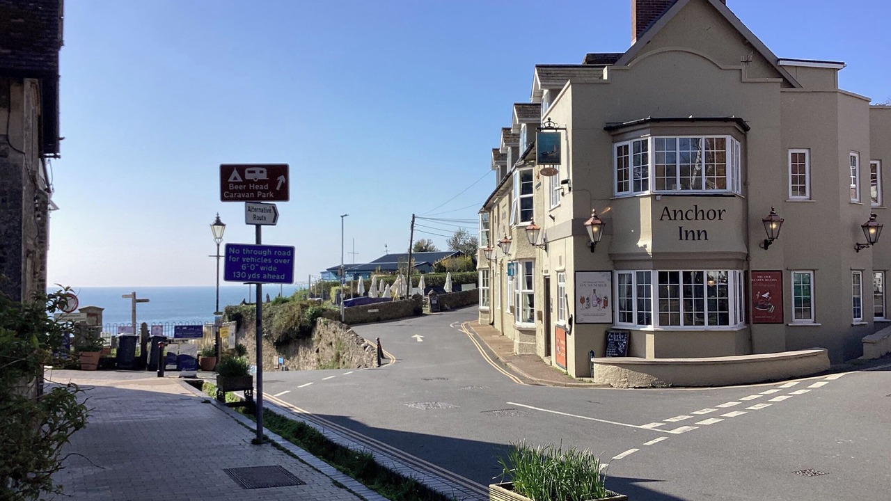 Photo of Others in Beer