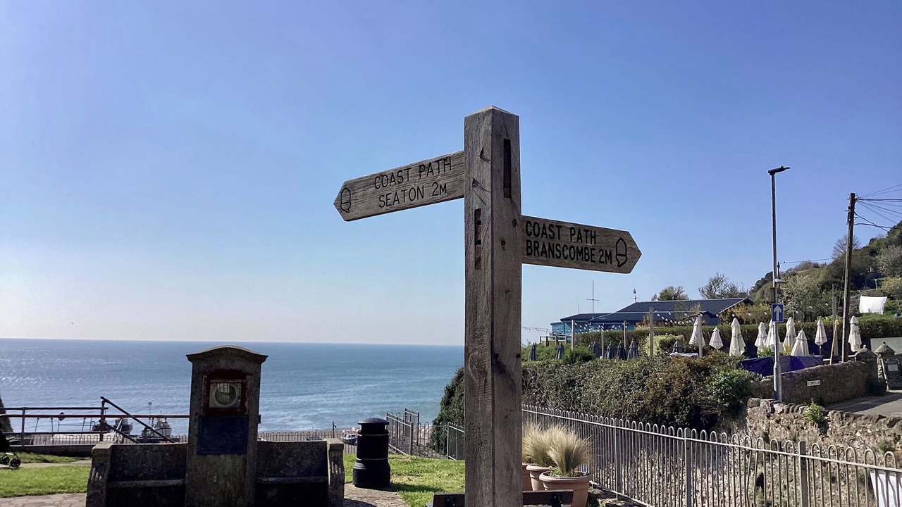 Photo of Others in Beer