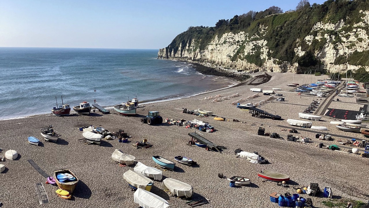 Photo of Others in Beer