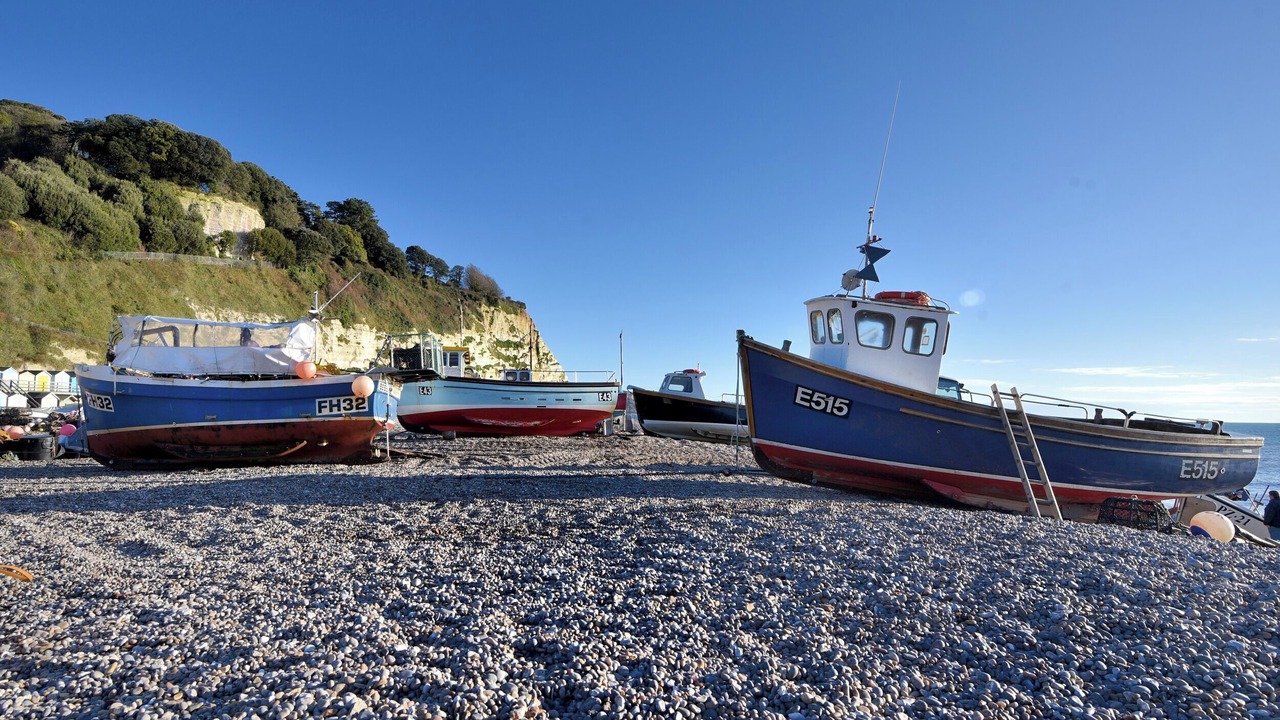 Photo of Others in Beer