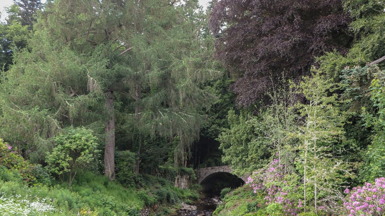 Photo of Others in Blair Atholl