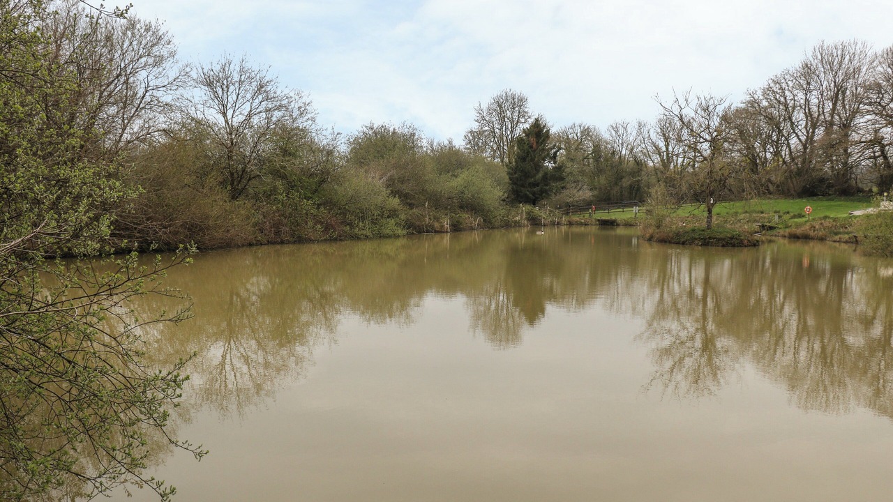 Photo of Others in Highampton