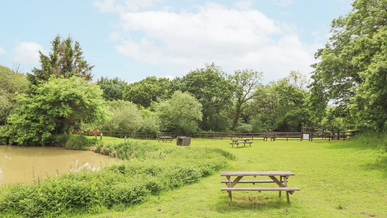 Photo of Outdoor in Highampton