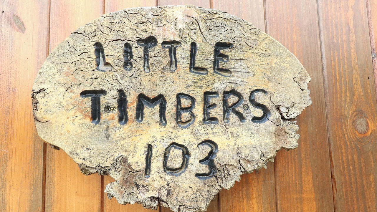 Photo of Others in New Forest District