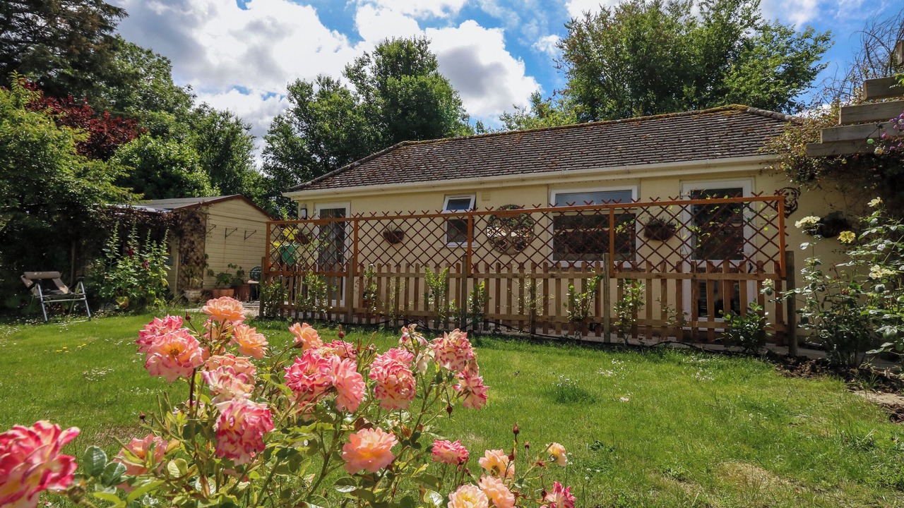 Photo of Outdoor in New Forest District