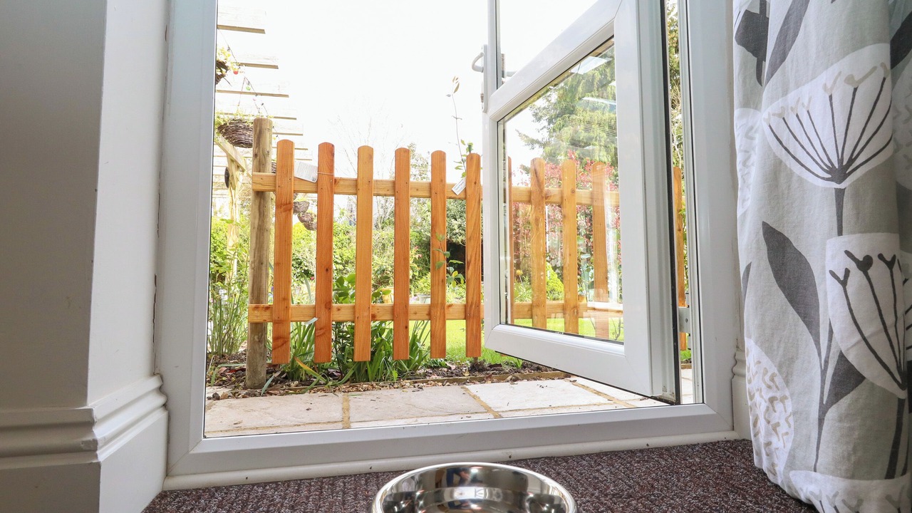 Photo of Others in New Forest District