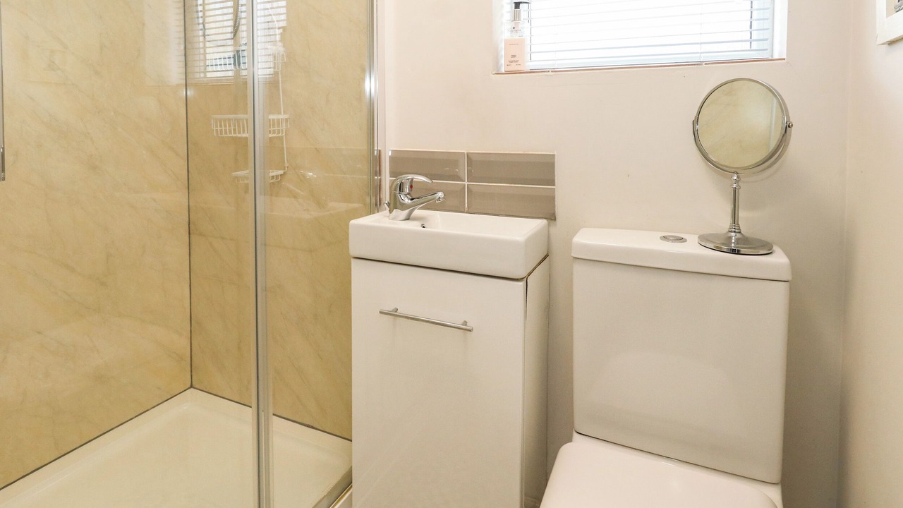 Photo of Others in New Forest District