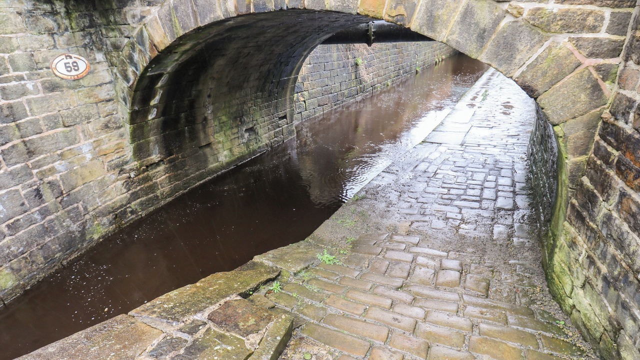 Photo of Others in Marsden