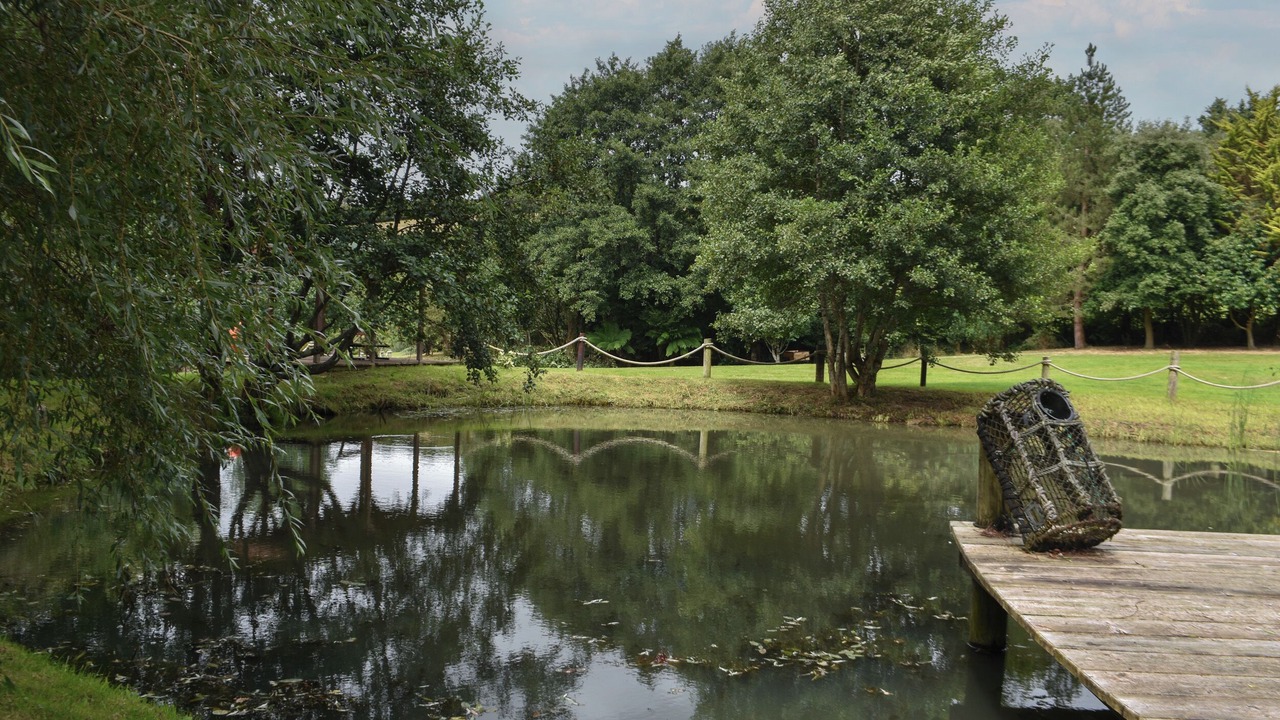 Photo of Others in Swimbridge