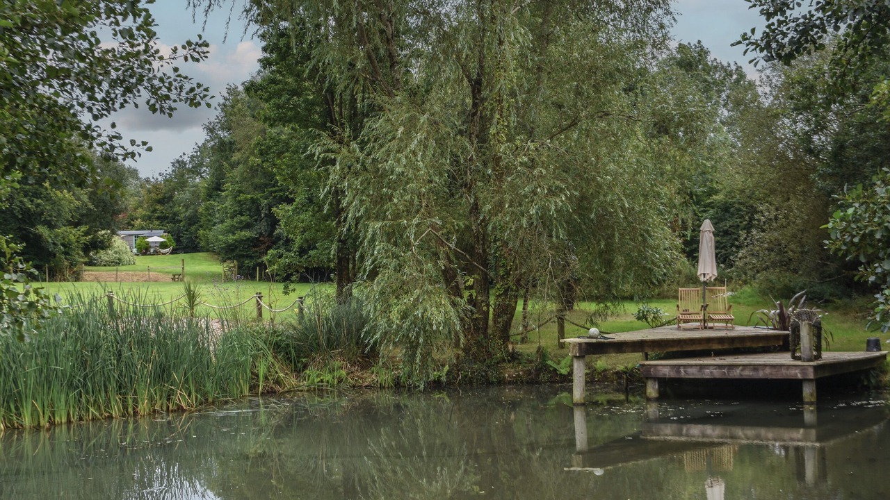 Photo of Others in Swimbridge