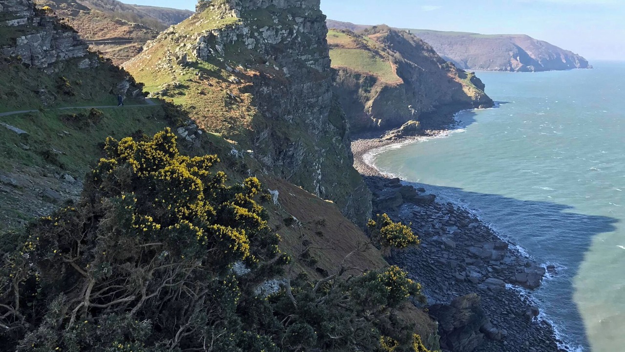 Photo of Others in Lynton