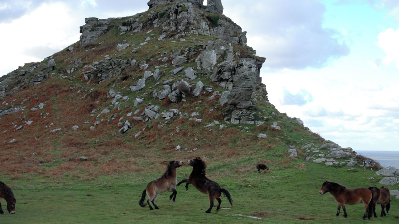 Photo of Others in Lynton