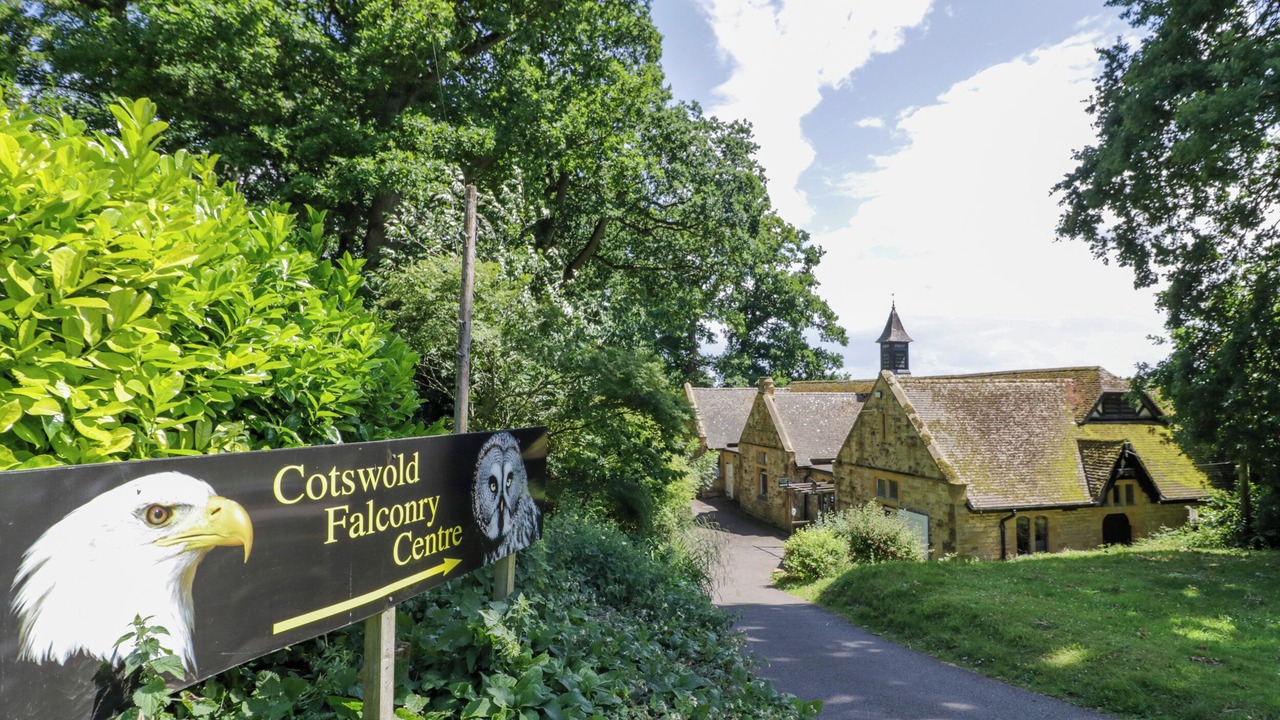 Photo of Outdoor in Cow Honeybourne