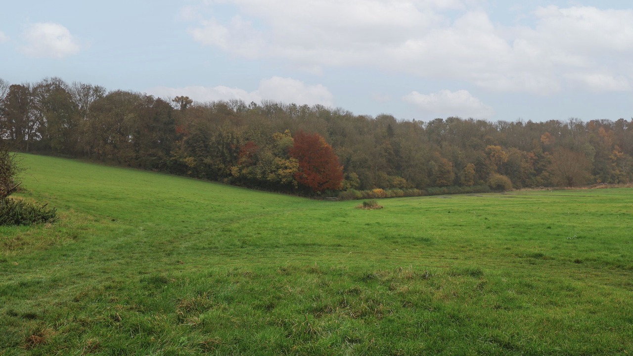 Photo of Others in Chedworth