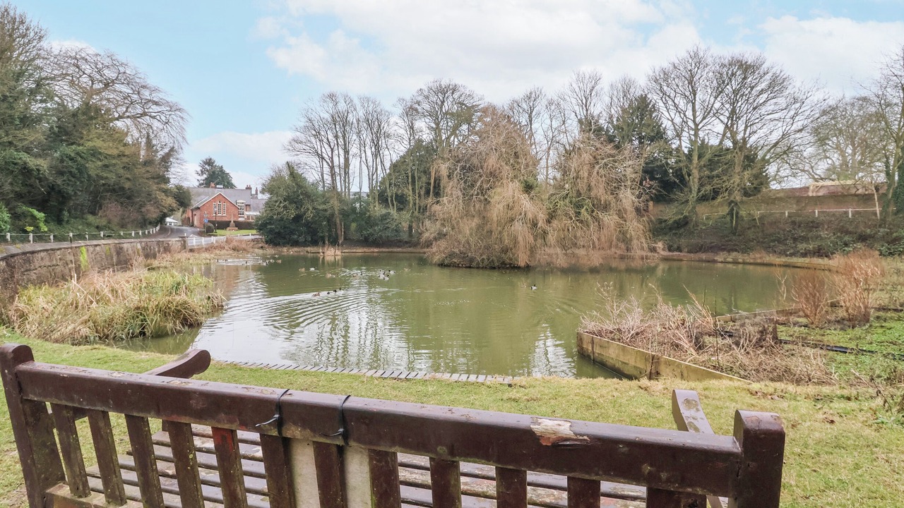 Photo of Others in North Dalton