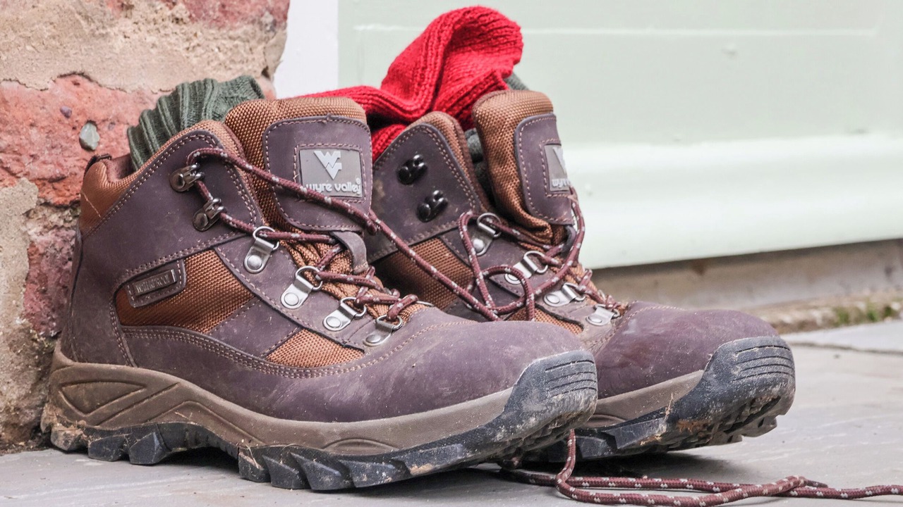 Photo of Others in North Dalton