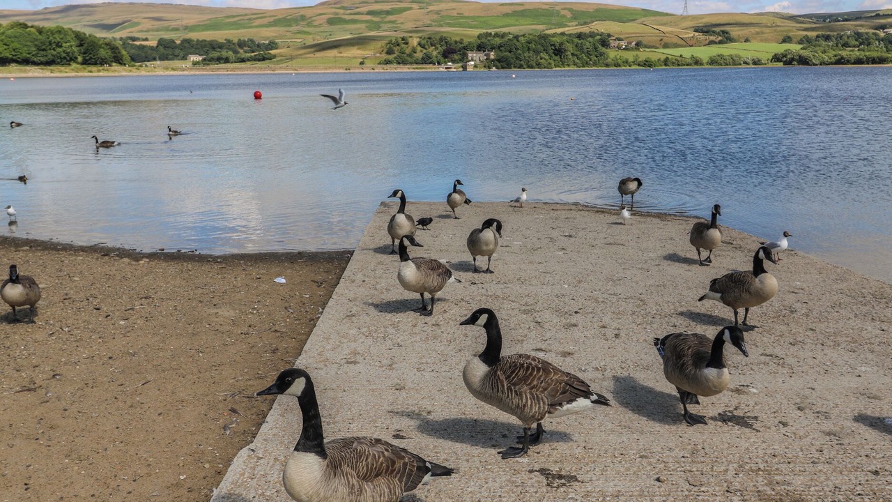 Photo of Others in Littleborough