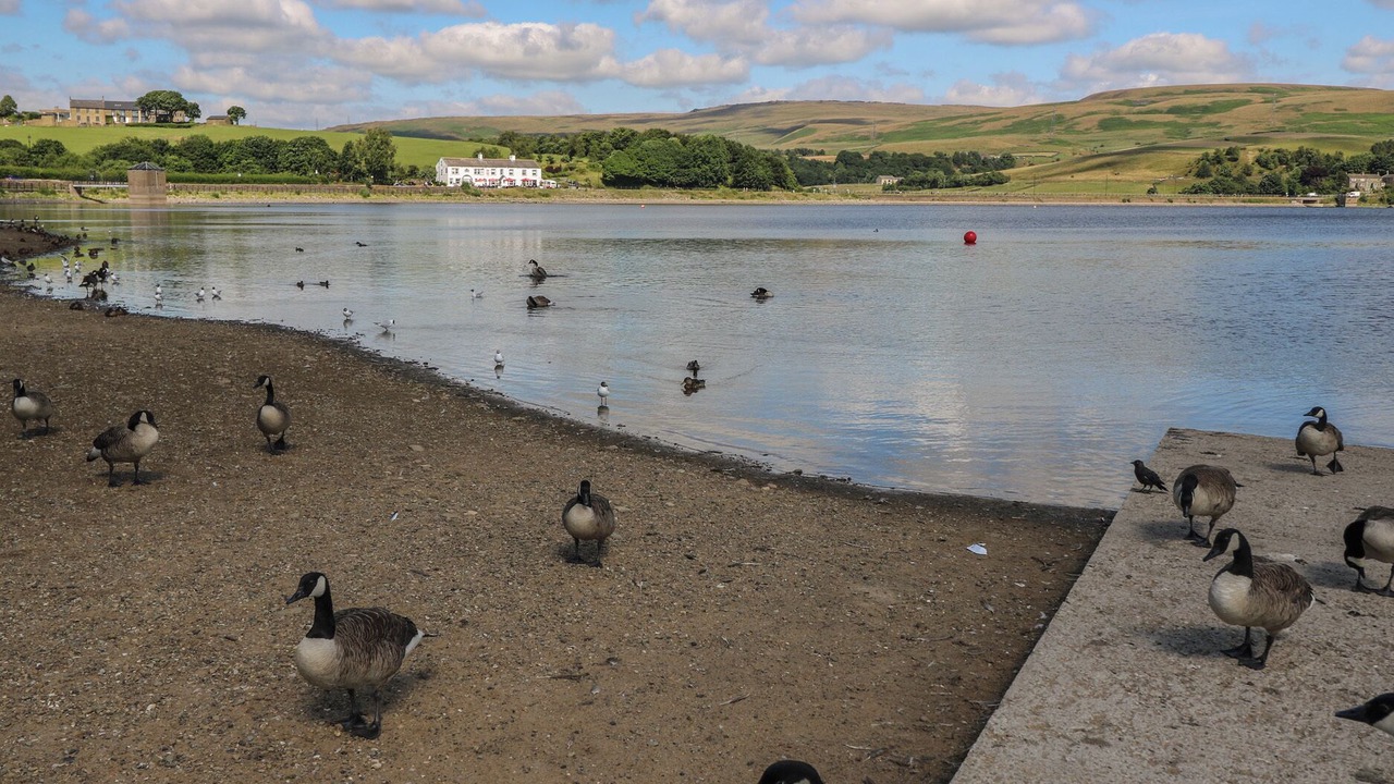 Photo of Others in Littleborough