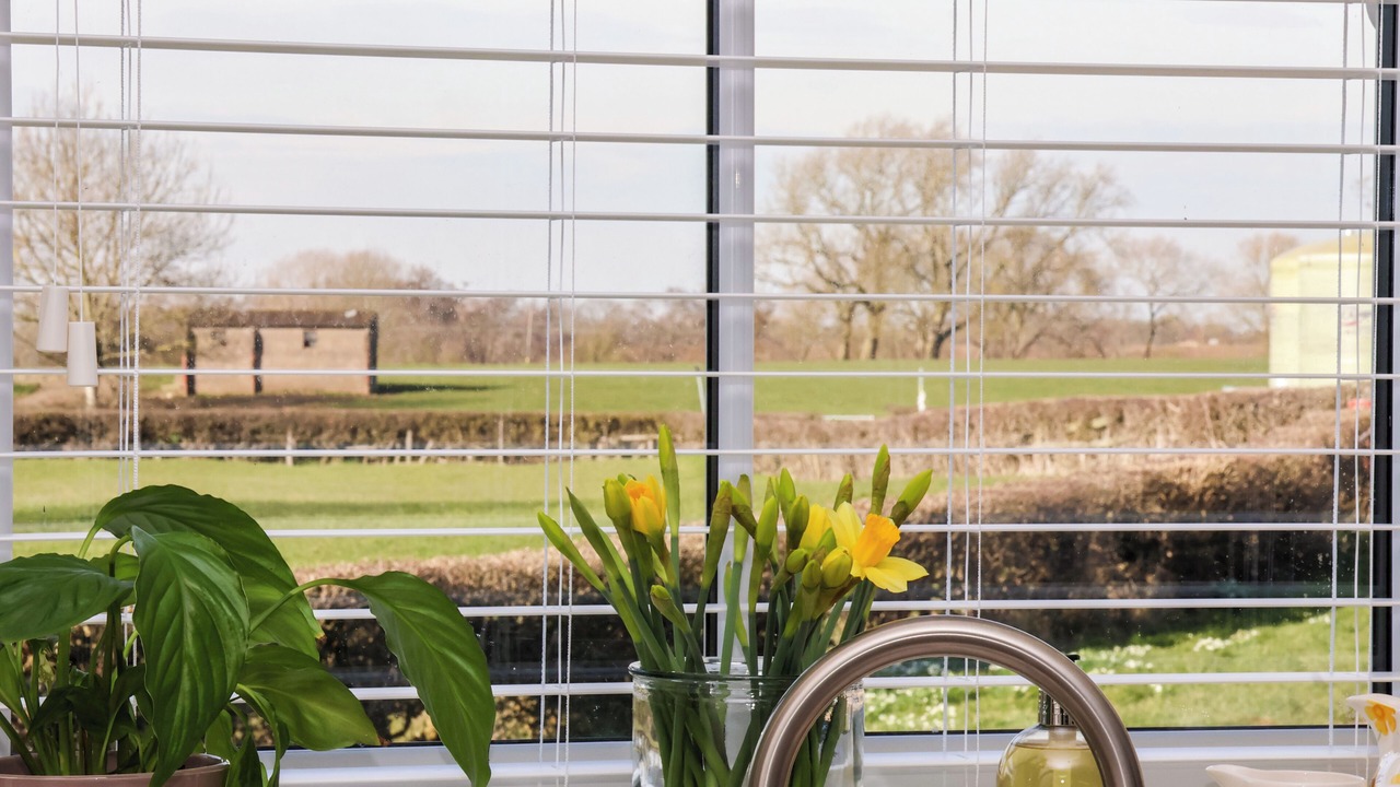 Photo of Others in Thirsk