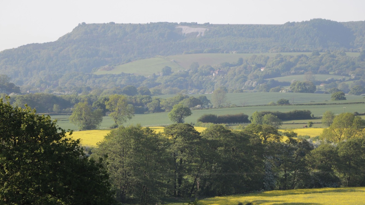 Photo of Others in Thirsk