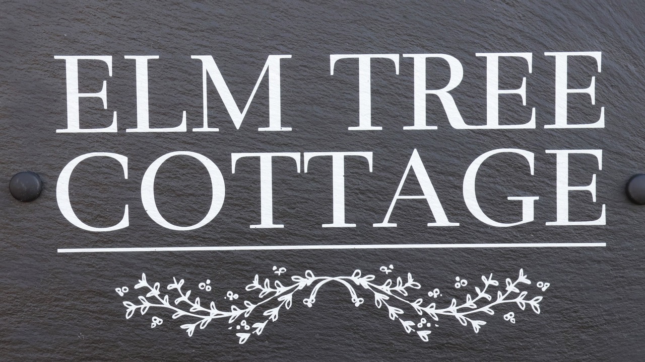 Photo of Outdoor in Thirsk