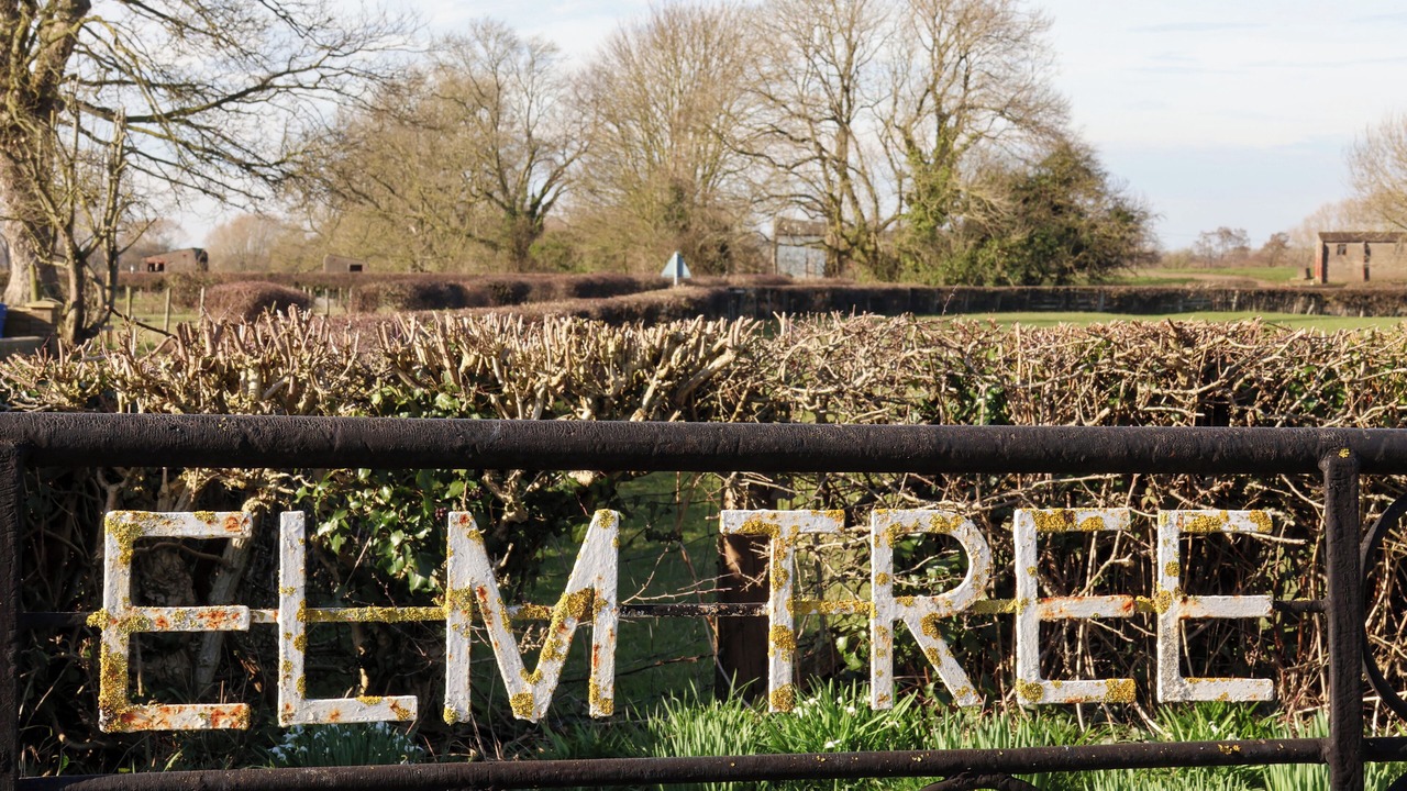 Photo of Outdoor in Thirsk