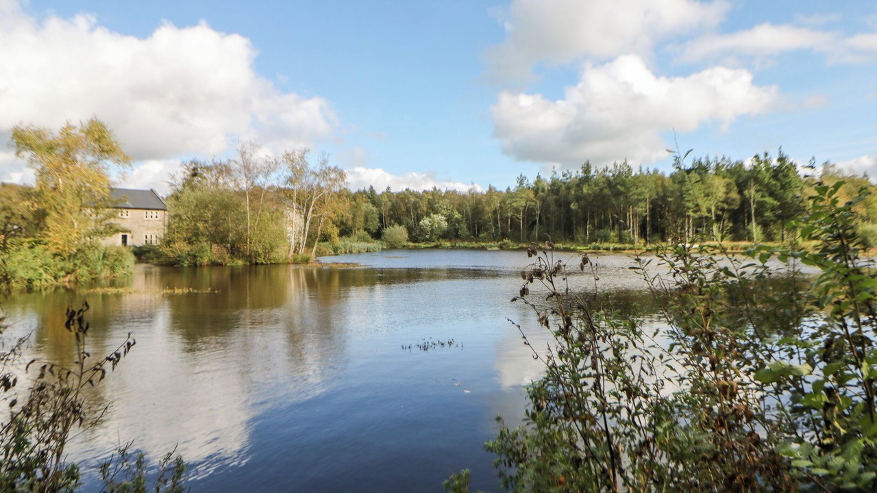 Photo of Others in Beeley