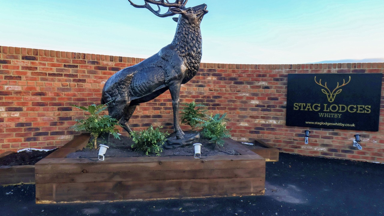 Photo of Others in Briggswath