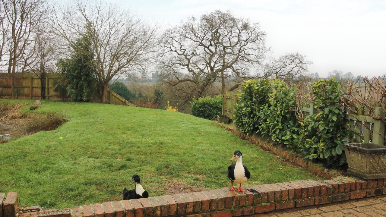 Photo of Outdoor in Sugnall