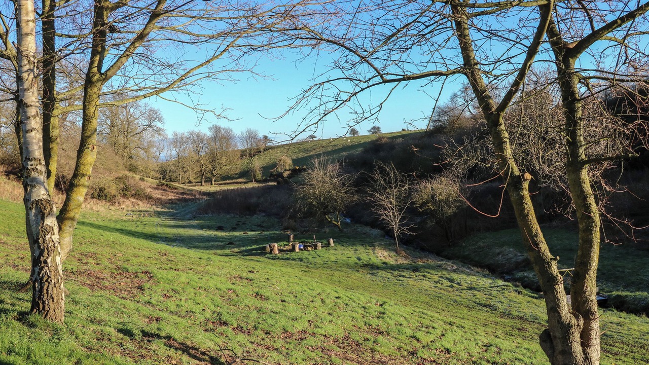 Photo of Others in Tunstall