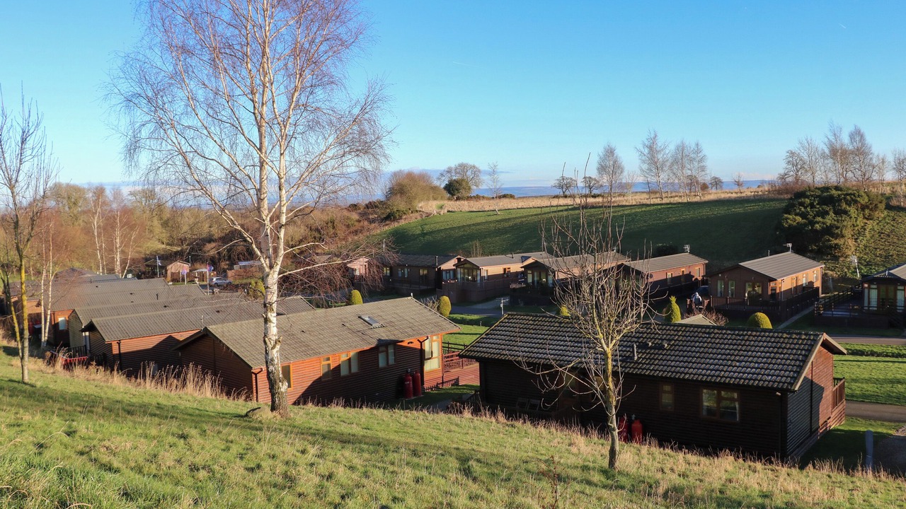 Photo of Others in Tunstall