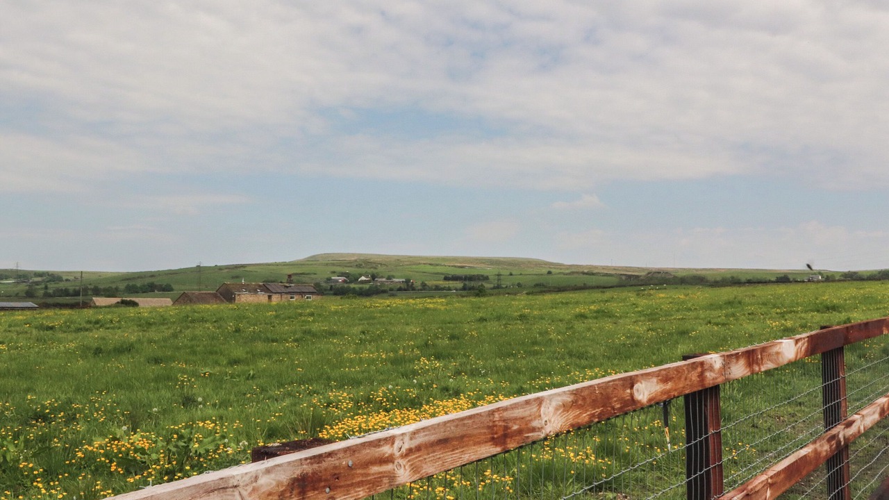 Photo of Others in Accrington