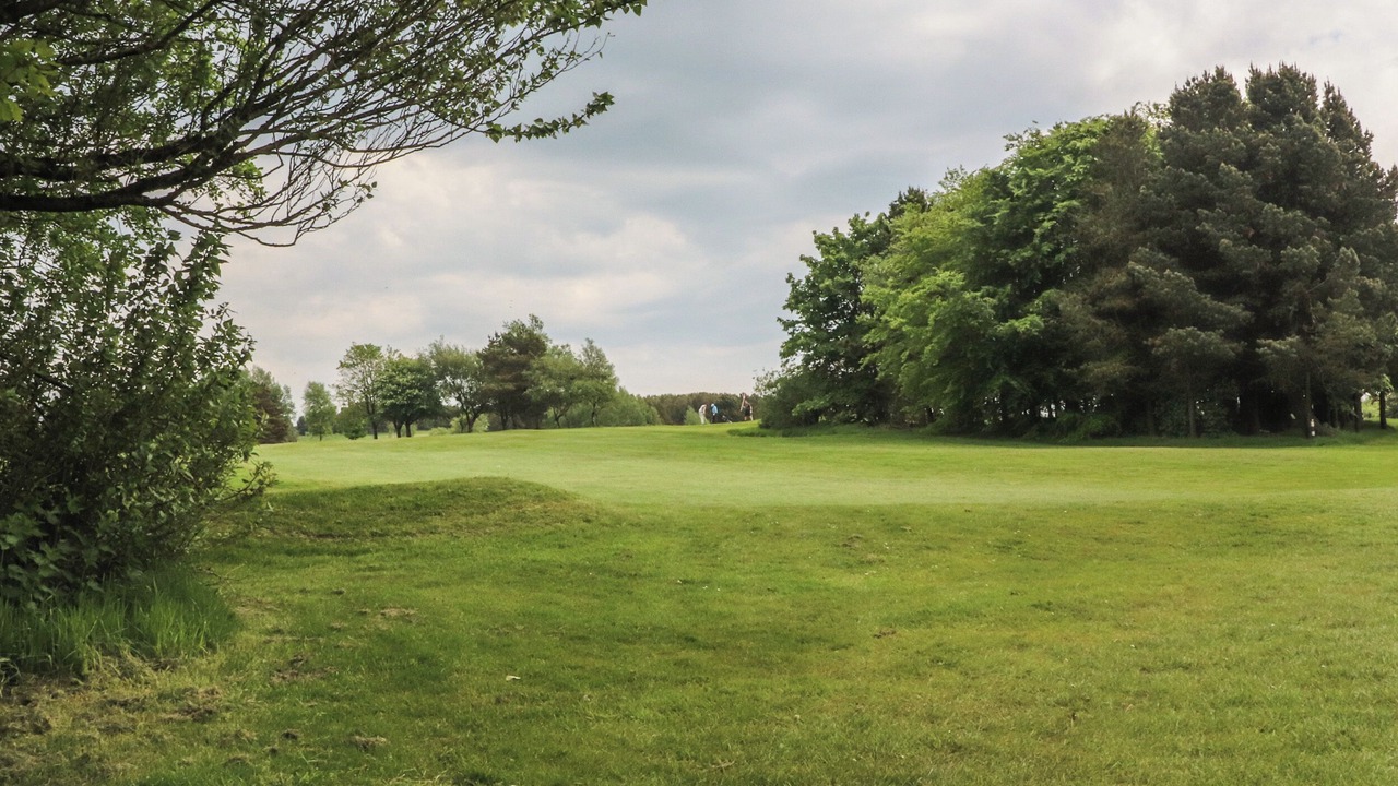 Photo of Others in Accrington