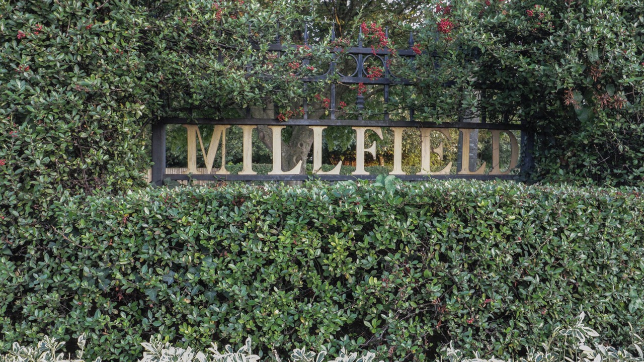 Photo of Outdoor in Compton Dundon