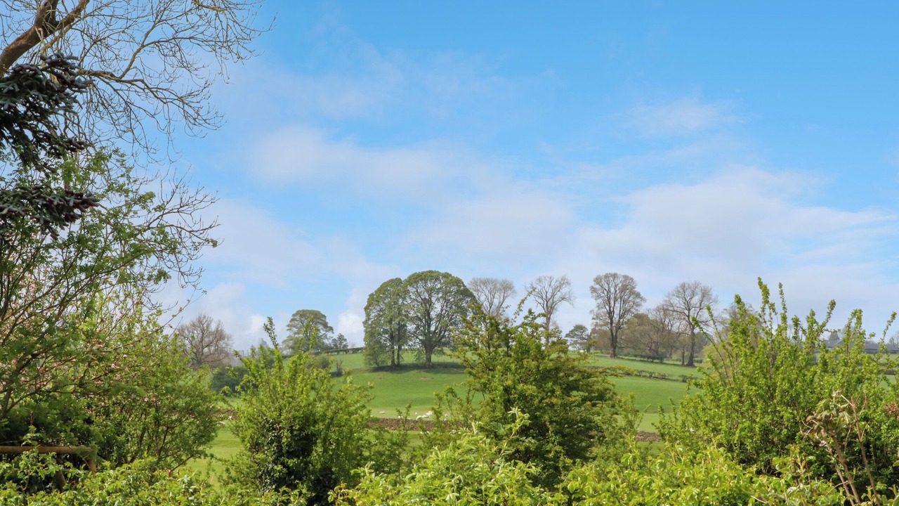 Photo of Others in Clitheroe